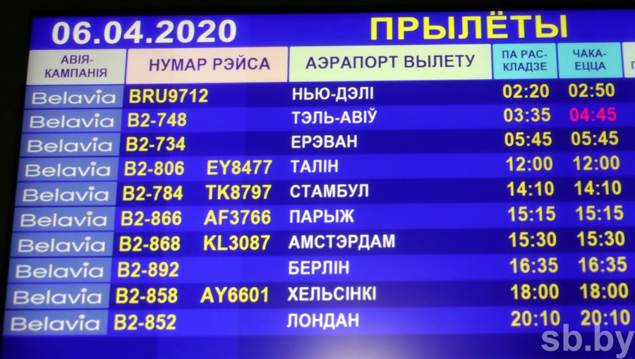 Более 100 “застрявших” в Дели белорусов вернулись домой