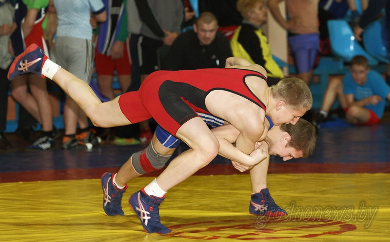 Спортсмены Гродненской области выиграли командное первенство чемпионата Беларуси по вольной борьбе