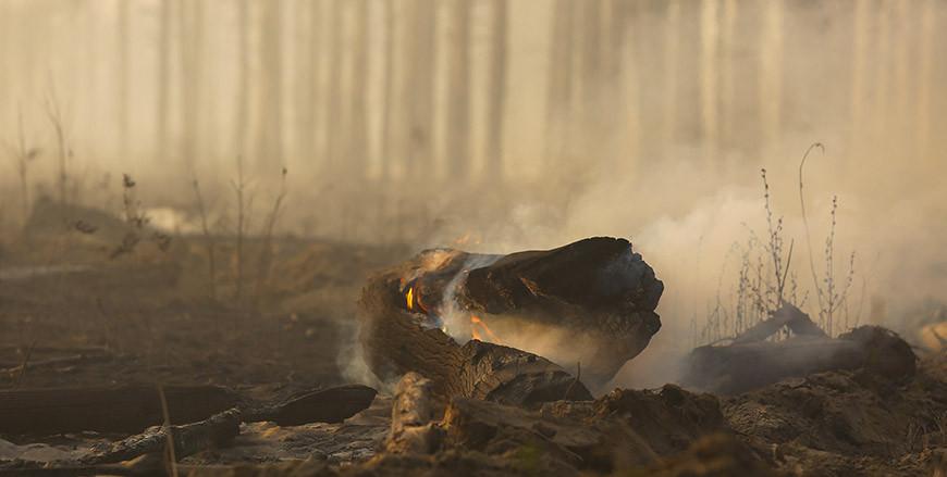 За сутки в Беларуси потушены четыре лесных пожара
