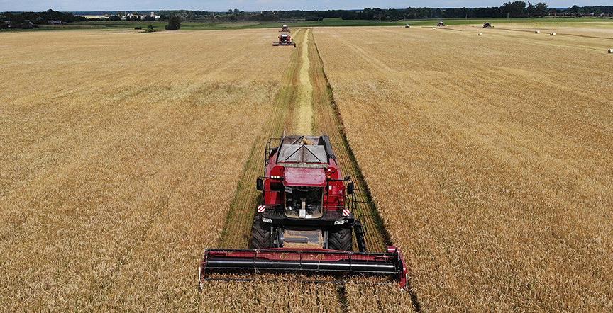 Александр Лукашенко о видах на урожай: год складывается очень хорошо для сельхозкультур