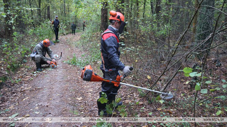 Почти 39 тысяч человек присоединились к акции "Чистый лес"