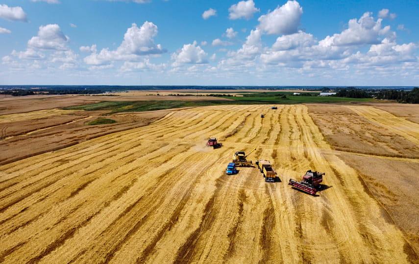 В Беларуси намолочено более 3,7 миллиона тонн зерна