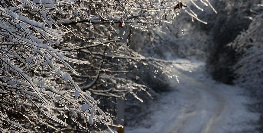 Снег и гололедицу прогнозируют синоптики в Беларуси 4 декабря