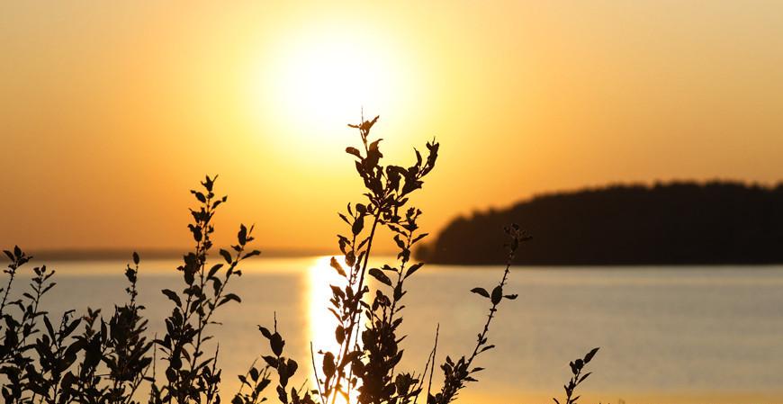 До +25°С и преимущественно без осадков будет в Беларуси 5 сентября