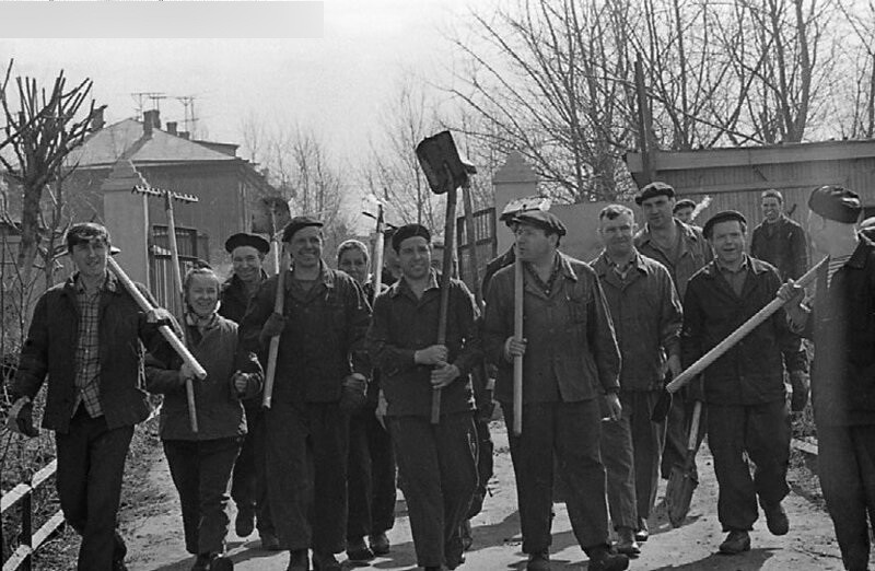 Субботник - пережиток коллективизма, тимбилдинг или мерило совести. Рассуждает корреспондент «ГП»