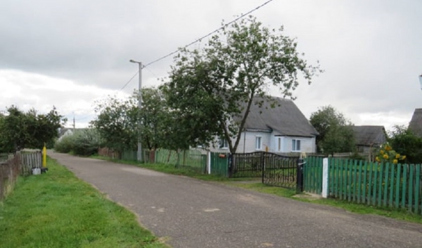 В Ошмянах 17-летний парень избил битой мужчину в отместку за побитый автомобиль