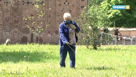 В Гродно места отдыха начали обрабатывать от клещей (+Видео)
