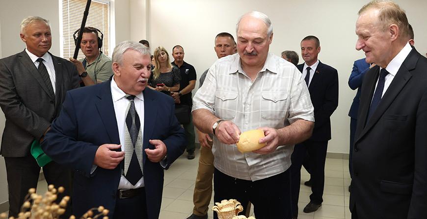 Обеспечит ли Беларусь свою продовольственную безопасность? Александр Лукашенко потребовал включить "полную диктатуру"