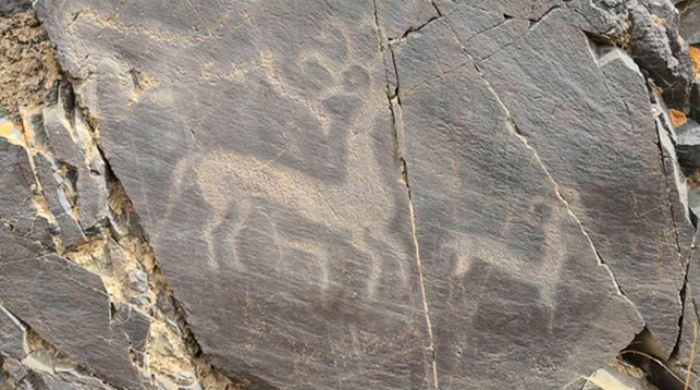 На северо-западе Китая обнаружили 3500-летние петроглифы с животными