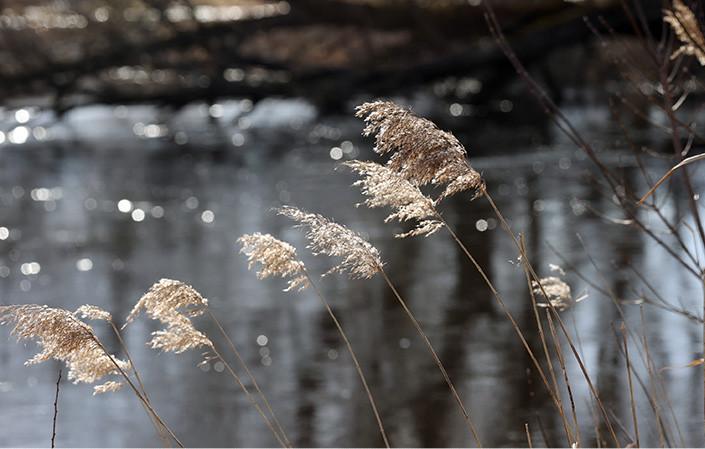 На большинстве рек Беларуси наблюдается понижение уровней воды