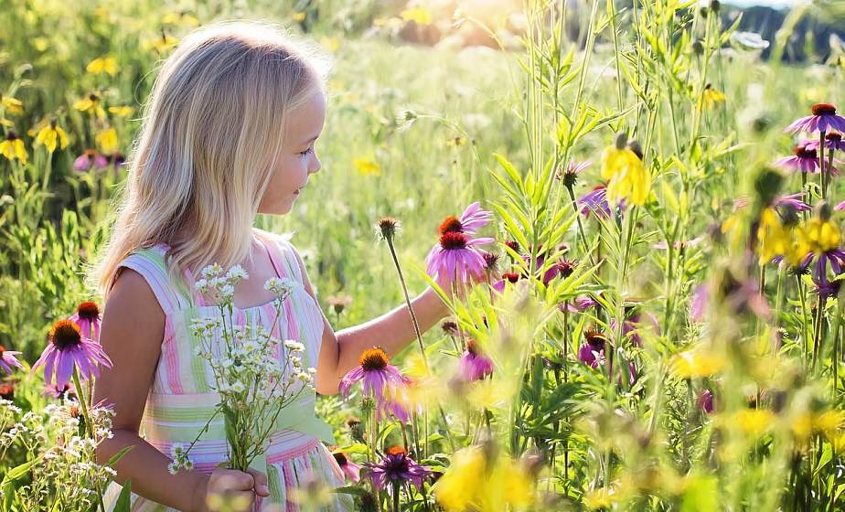 Около 48 000 детей планируется оздоровить на Гродненщине в период летних каникул 