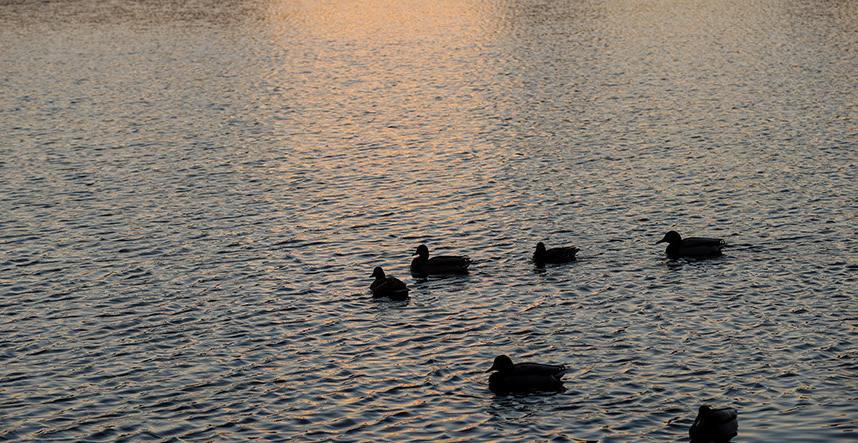 Белгидромет прогнозирует снижение суточных температур