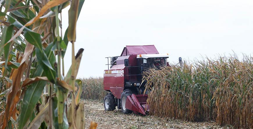 Александр Лукашенко поставил жесткие и конкретные задачи по осенним полевым работам