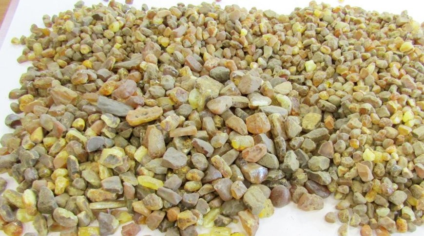 Алмазы, янтарь, раритетный пистолет: гродненские таможенники рассказали о самых ярких задержаниях