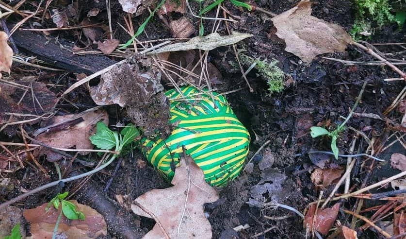 В Гродно за распространение психотропов задержаны двое молодых парней