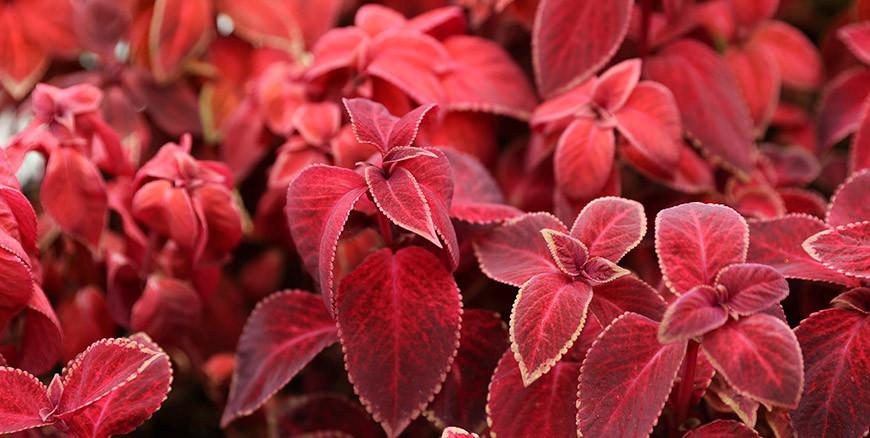 Сильные дожди ожидаются в Беларуси 11 сентября