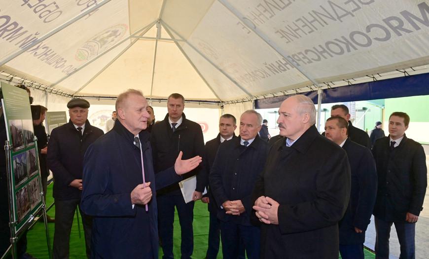 "Образец для Беларуси". Александр Лукашенко посетил инновационное хозяйство в Оршанском районе