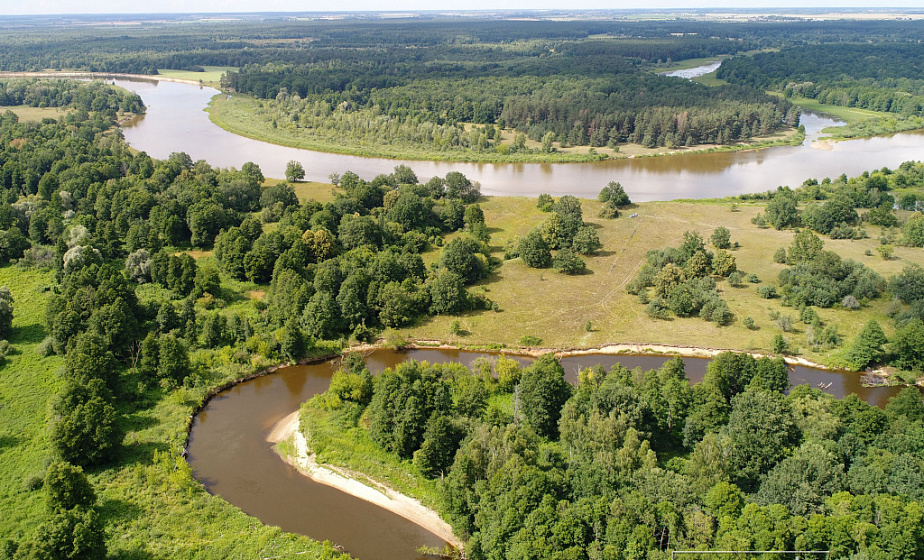 The project "Grodno region: reserved world" in Lipichanskaya Pushcha: colonies of storks, dormouse mouse and pines on the dunes