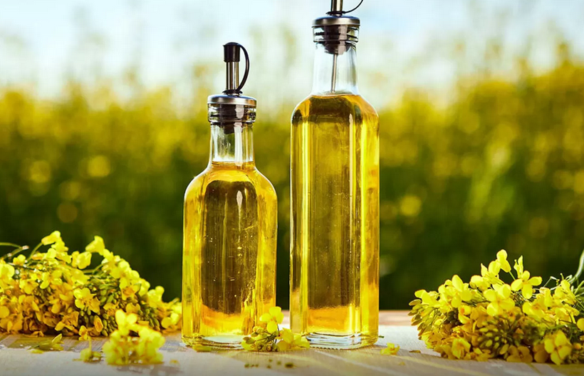 Медики рассказали о пользе рапсового масла. Выяснили, насколько оно дешевле подсолнечного и оливкового 