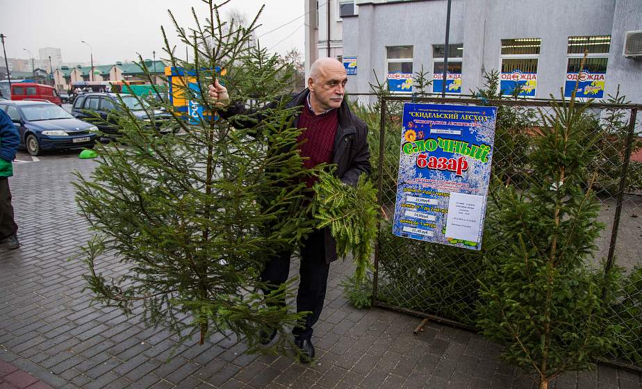 Деревья в кадках, сосны и даже новогодние букеты. Когда откроются елочные базары и что еще будет в ассортименте? 