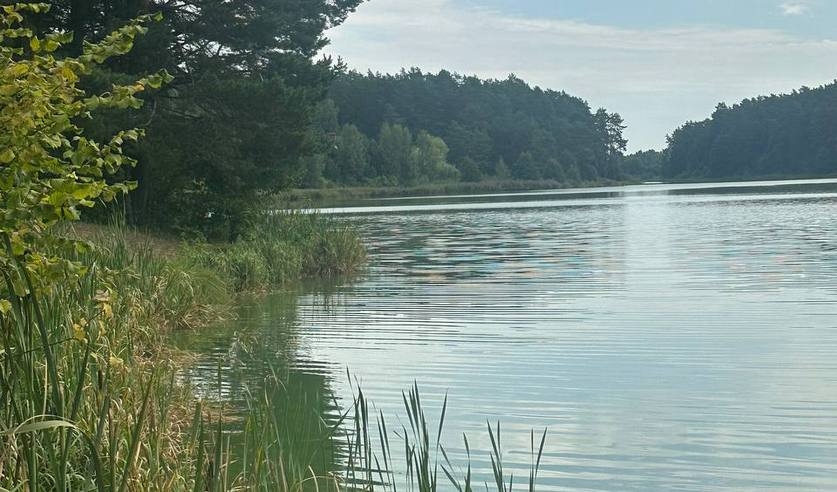 В предпоследний день лета в Гродненской области утонули двое мужчин. Следователи проводят проверки