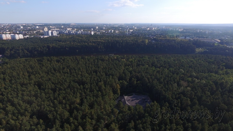 В Гродненской области за обстановкой в лесах будут следить квадрокоптеры