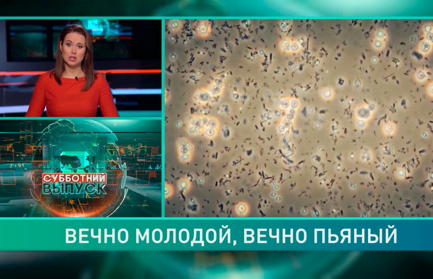 Ученые нашли бактерию, которая синтезирует алкоголь в организме человека
