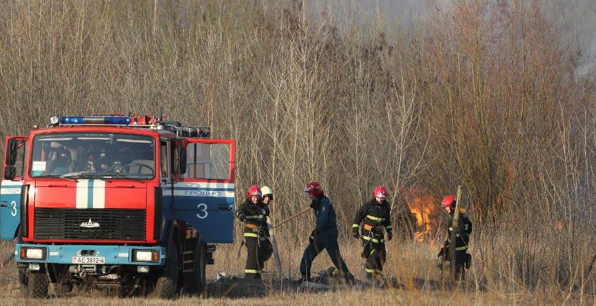 В области зарегистрировано более 70 случаев загорания сухой растительности. Спасатели напоминают, чем опасны палы сухой травы