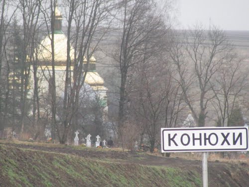 Много ли на Гродненщине городов и сел с лошадиными названиями?