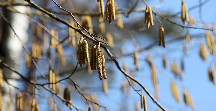 Воздух прогреется до +23°С, но дожди не закончатся. В Белгидромете рассказали о погоде на 22-26 апреля