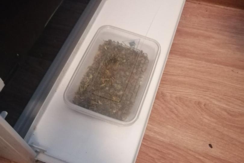 Работали на интернет-магазин. В Гродно задержаны «закладчики» марихуаны