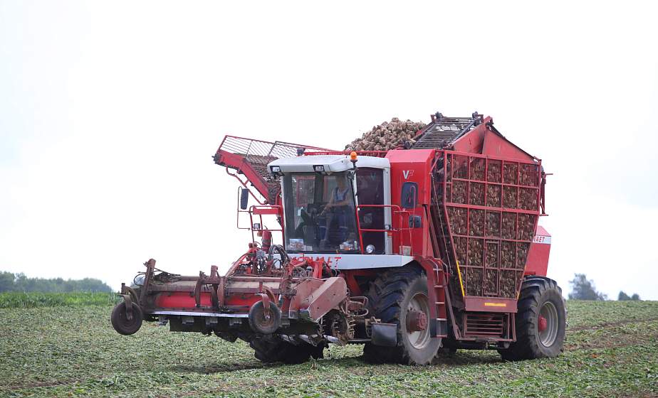 Как привлечь и удержать молодых специалистов на селе: корреспондент "ГП" изучила тему