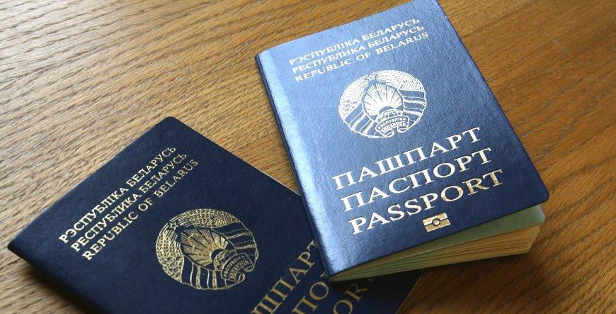 В Новогрудском районе девушка под видом соцработника похитила у пенсионеров документы для льготной «растаможки» автомобилей