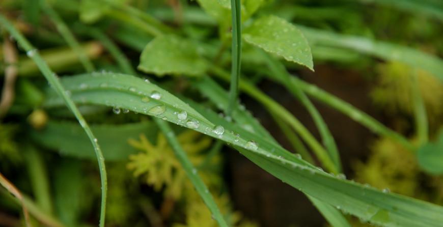 Грозы и сильный ветер ожидаются в Беларуси 17 июня
