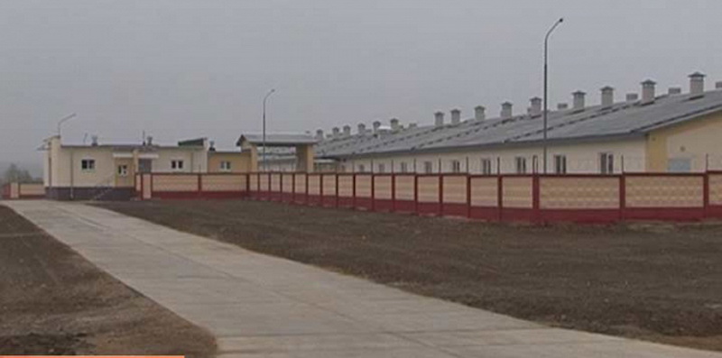 Хозяйства области продолжают наращивать производство свинины