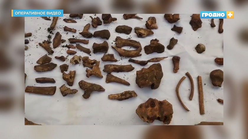 Останки нескольких человек обнаружены в гродненской тюрьме