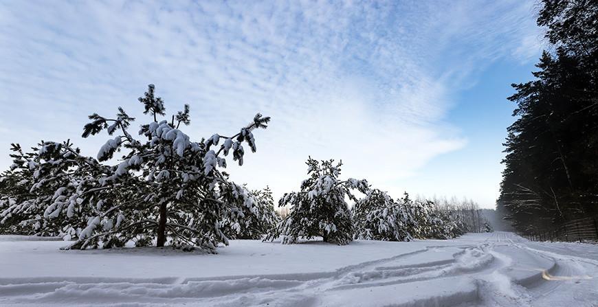 Оранжевый уровень опасности из-за сильного снега продлен в Беларуси на 16 декабря