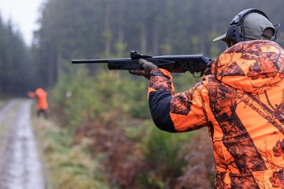 С 1 октября в Беларуси стартует сезон загонных охот