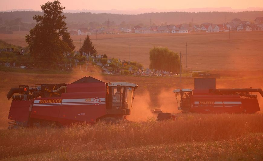 ФОТОФАКТ: До заката идет уборка в СПК "Путришки"
