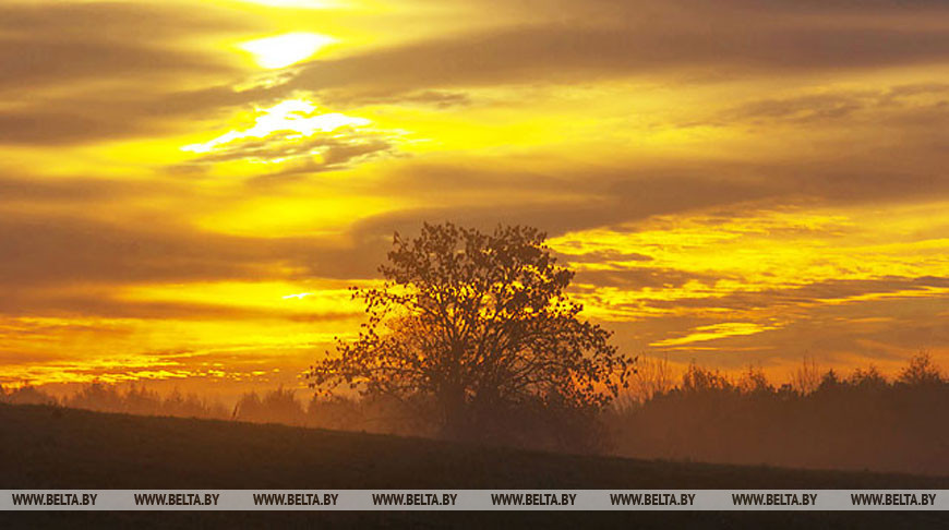 Порывистый ветер и до +13°С ожидается в Беларуси 4 апреля
