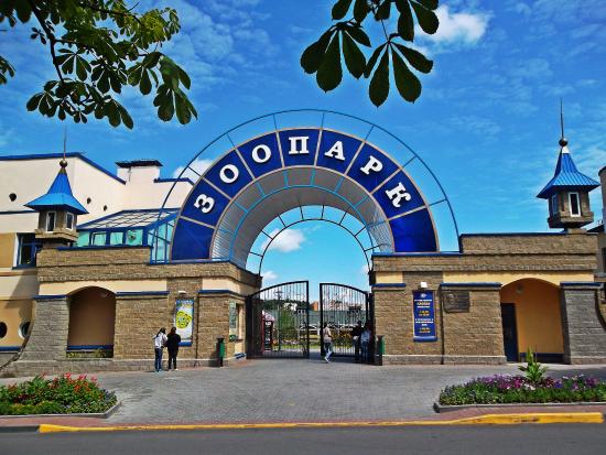 Как в Гродненском зоопарке подружились бельчонок с лисенком 