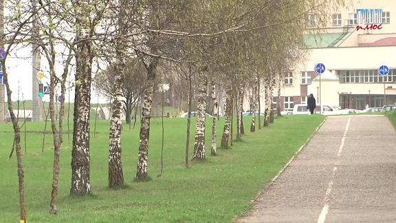 13 жителей Гродно пострадали от клещей за минувшие длинные выходные (+Видео)