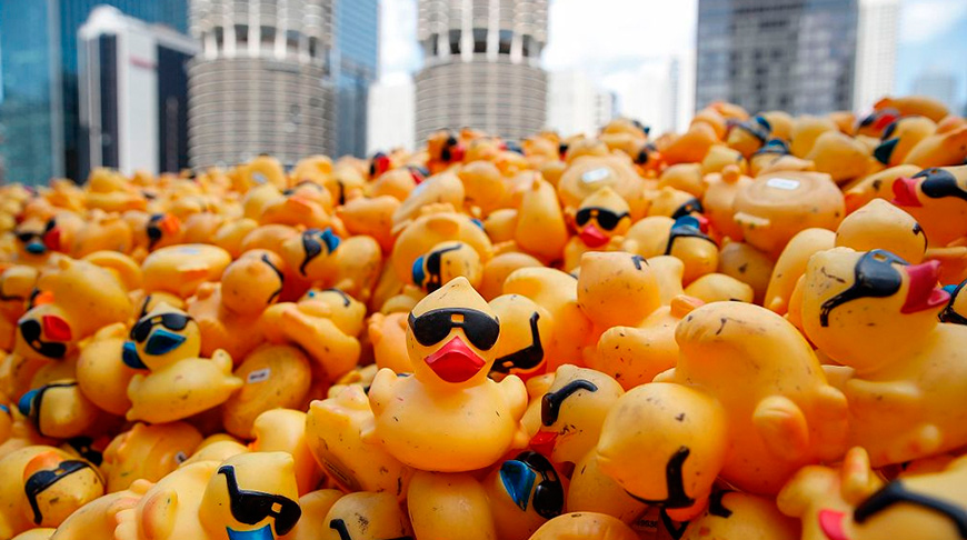 В Чикаго прошли гонки резиновых уточек