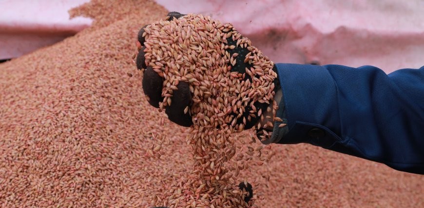 В Беларуси введен запрет на вывоз продуктов зернопереработки и отдельных видов промышленных товаров