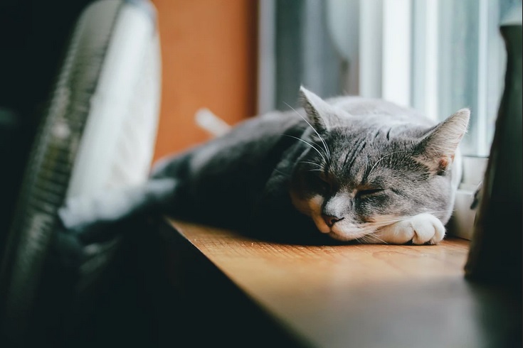 Оранжевый уровень опасности из-за сильного ветра и до 8 градусов тепла. Прогноз погоды на 10 февраля