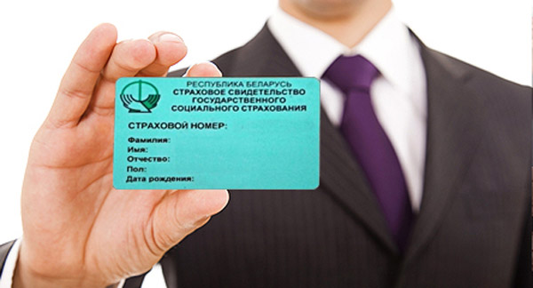 В органах соцзащиты или у работодателя. Как получить "зеленую карточку" 