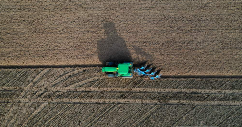 Хозяйства Гродненщины активизировали поднятие зяби