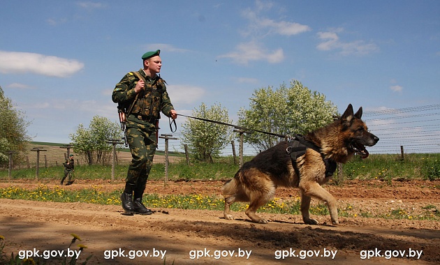 Гродненские пограничники раскрыли схему двух граждан России, пытавшихся нарушить белорусско-польскую границу