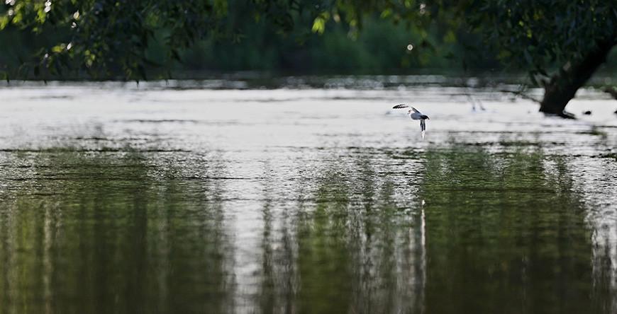 На минувшей неделе в Гродненской области утонуло два человека