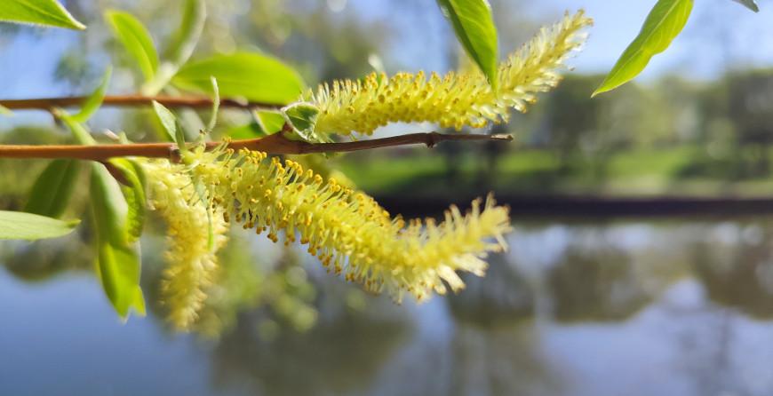 Грозы и до +26°С ожидается в Беларуси 14 июня